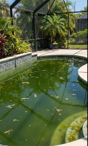 Pool before cleaning